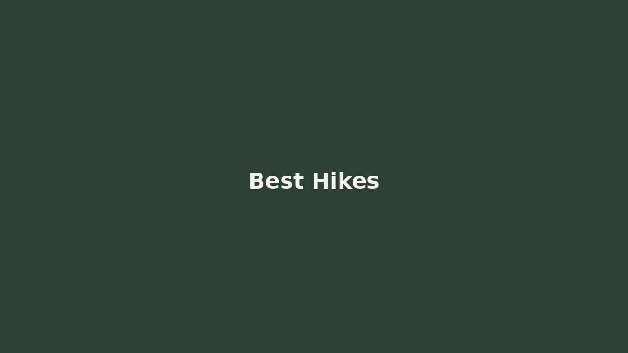 Best Dog-Friendly Hikes in Canada